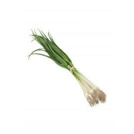 Artificial Spring Onion Bundle Natural Touch