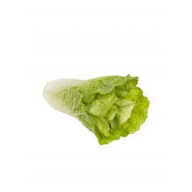 Artificial Chinese Cabbage Natural Touch