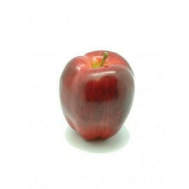 Artificial Weighted Red Delicious Apple