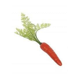 Artificial Carrot Medium with shoots