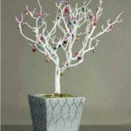 Decorative Manzanita Branch