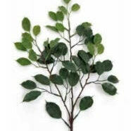 Artificial Silk Ficus Mini Leaf Spray UV