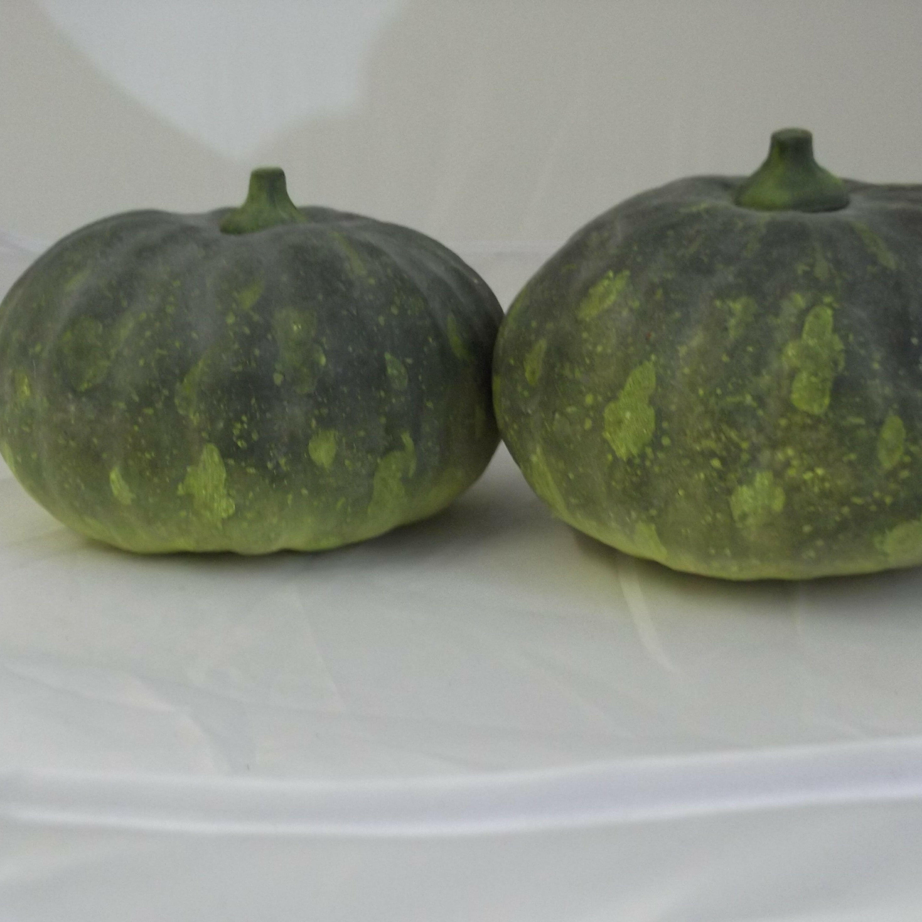 Artificial Pumpkins - a pair of
