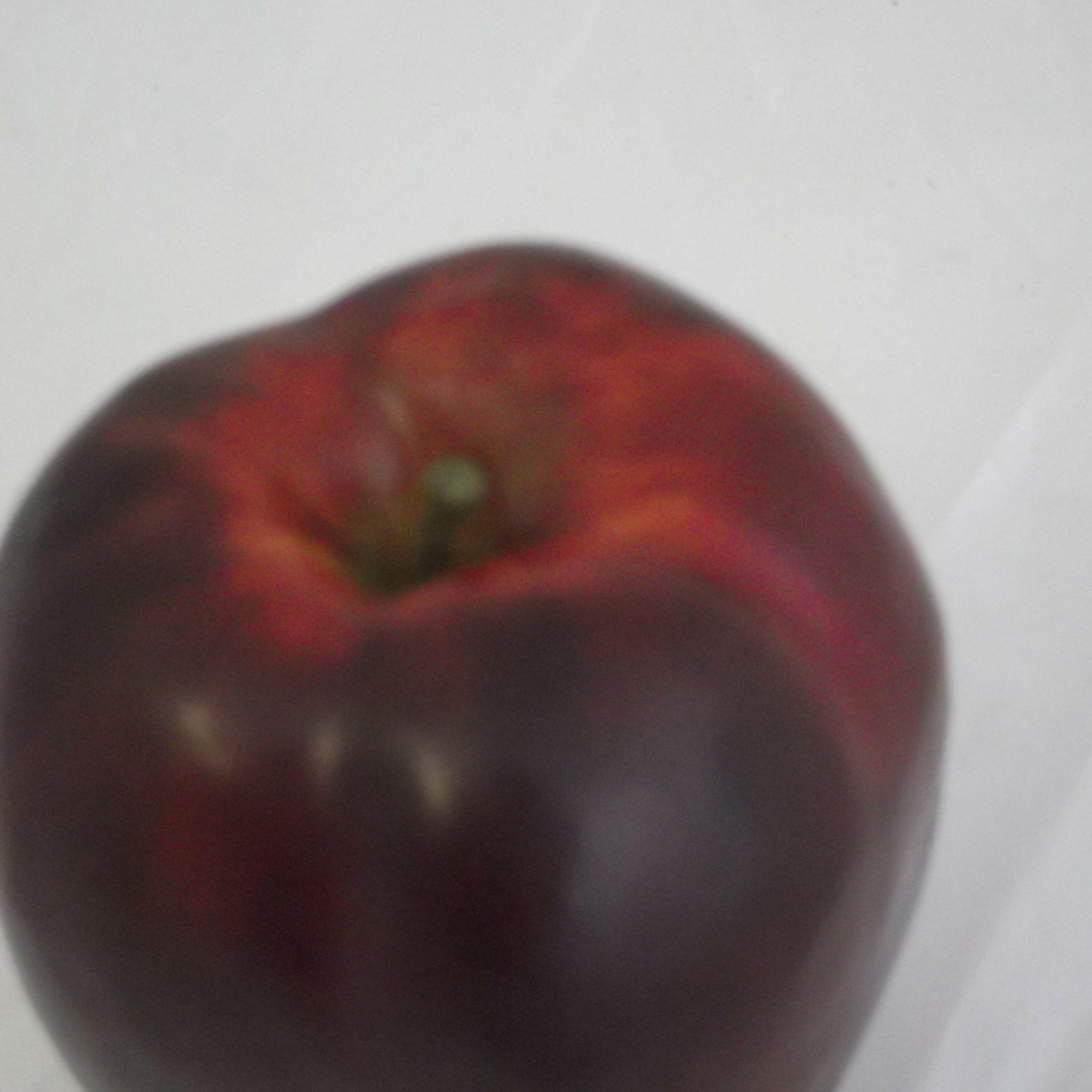 Artificial Weighted Red Delicious Apple