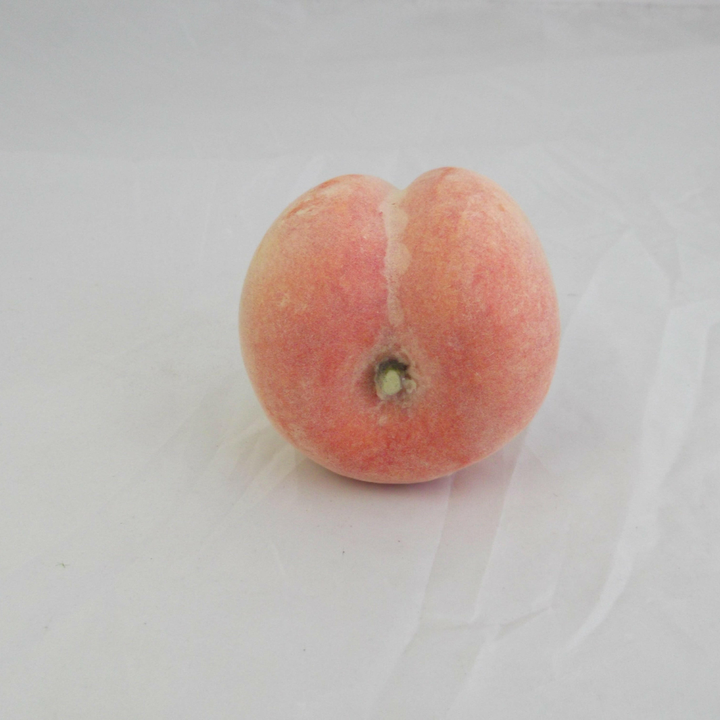 Artificial Weighted Peach