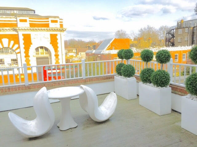 Showing our Bespoke Boxwood Ball Tree sent in by one of our customers