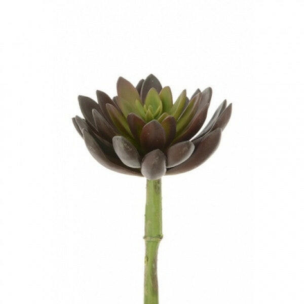 Artificial Succulent Lotus Pick