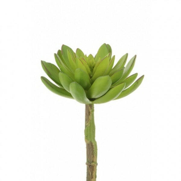 Artificial Succulent Lotus Pick