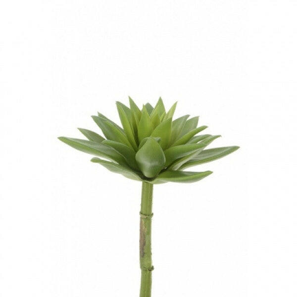 Artificial Succulent Spiky Pick