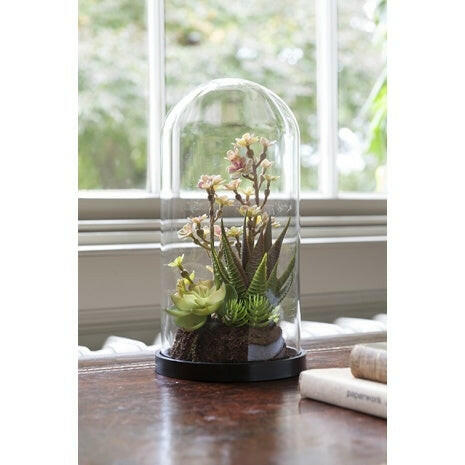 Artificial Succulent Mix in Glass Dome