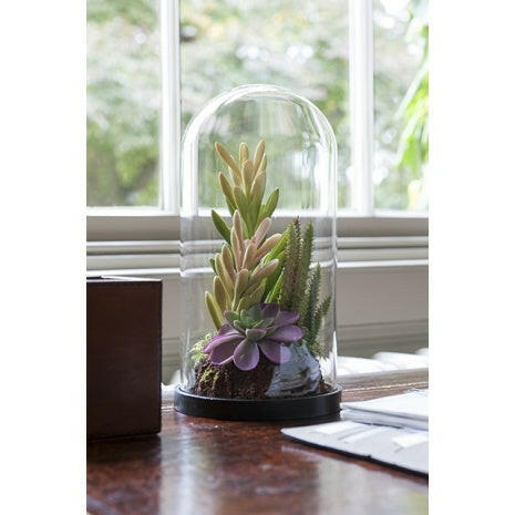 Artificial Succulent Mix in Glass Dome