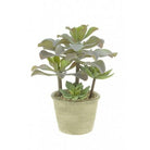 Artificial Tropical Succulent in a pot