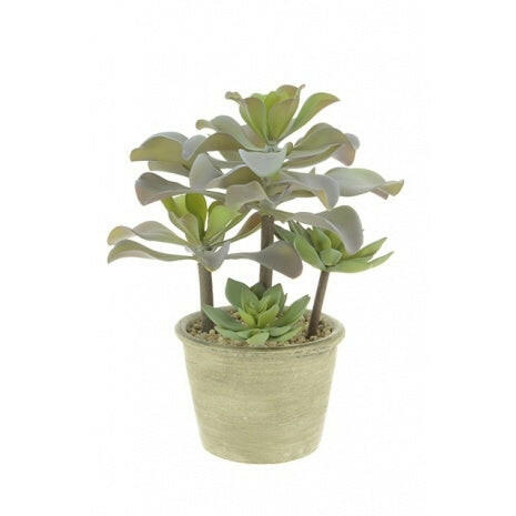 Artificial Tropical Succulent in a pot