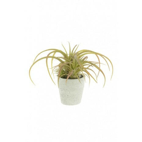 Artificial Tillandsias in a Pot
