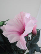 Artificial Silk Trailing Morning Glory