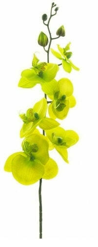 Artificial Silk Moth Orchid Flowers