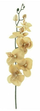 Artificial Silk Moth Orchid Flowers