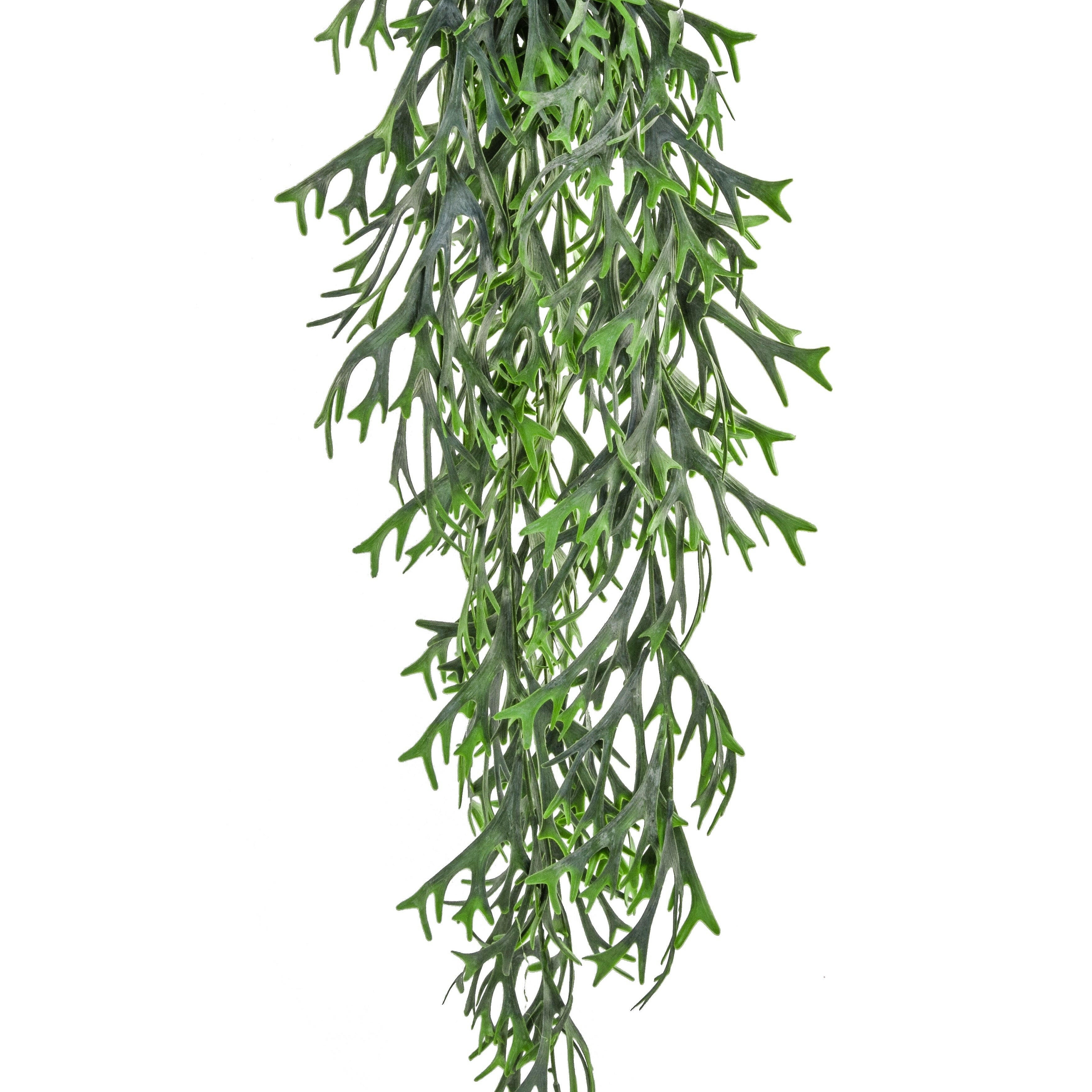 Artificial Staghorn Hanging Trail UV FR