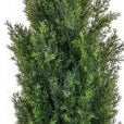 Artificial Conifer/Cedar Tree UV