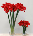 Artificial Queen Amaryllis (Real Touch)