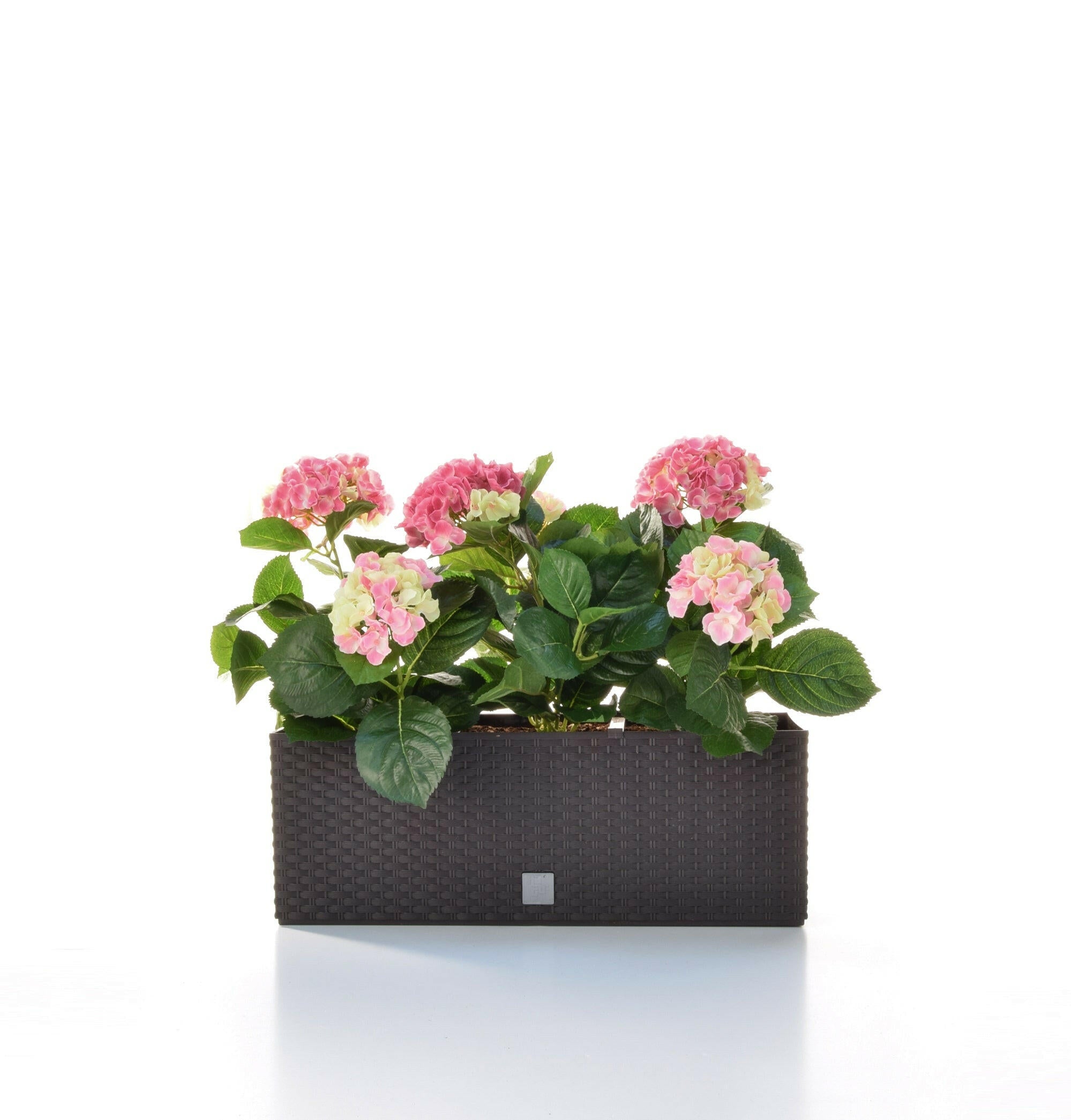 Artificial Silk Hydrangea Trough 