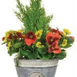 Artificial Cedar and Pansies in a Planter