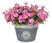 Artificial Petunias Ready Made in a Planter