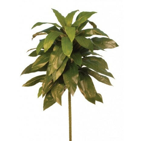 Artificial Silk Dracaena Plant FR