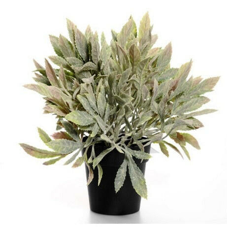 Artificial Potted Sage 
