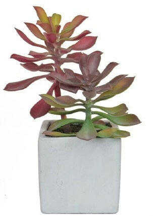 Artificial Succulent in White Cement Pot