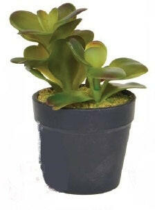 Artificial Succulent Display in Clay Pot
