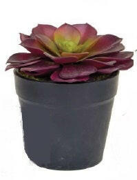 Artificial Succulent Display in Clay Pot