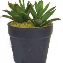 Artificial Succulent Display in Clay Pot