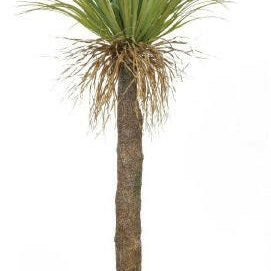 Artificial Cycas Palm