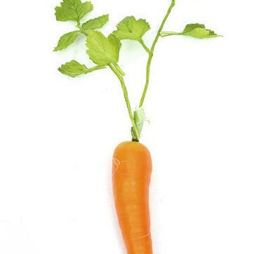 Artificial Carrot