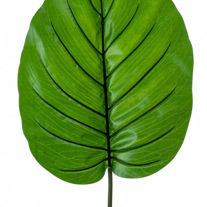Artificial Silk Alocasia Leaf