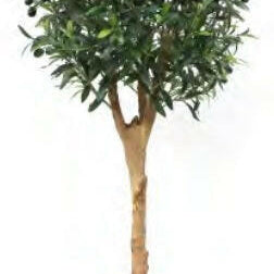 Artificial Silk Olive Fruit Ball Tree