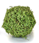 Artificial Topiary Moss/Twig Ball