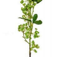 Artificial Snowberry Real Touch Foliage Spray