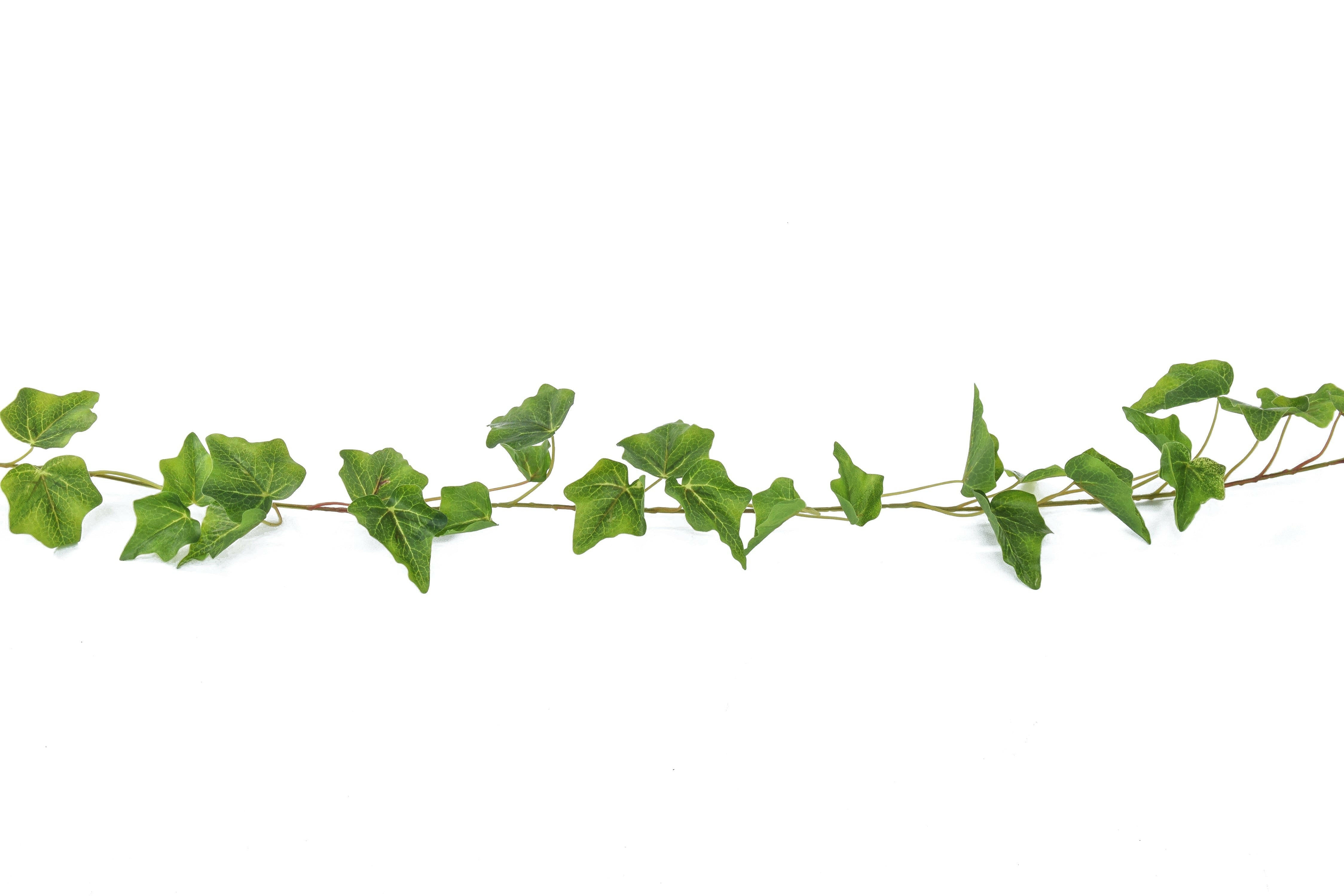 Artificial Silk English Ivy Garland