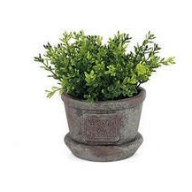 Artificial Small Cylinder Potted Greenery Complete