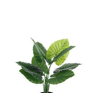 Artificial Silk Deluxe Taro Leaf Plant