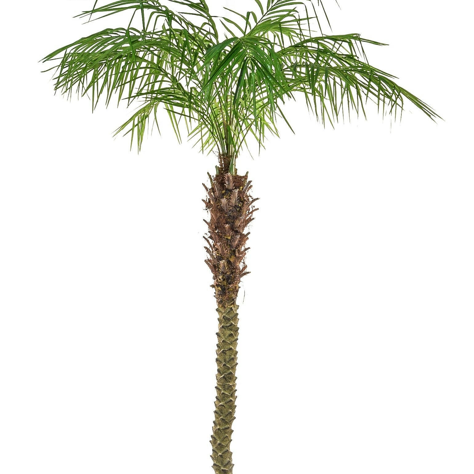 Artificial Phoenix Palm