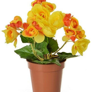 Artificial Silk Begonia in Orange Pot