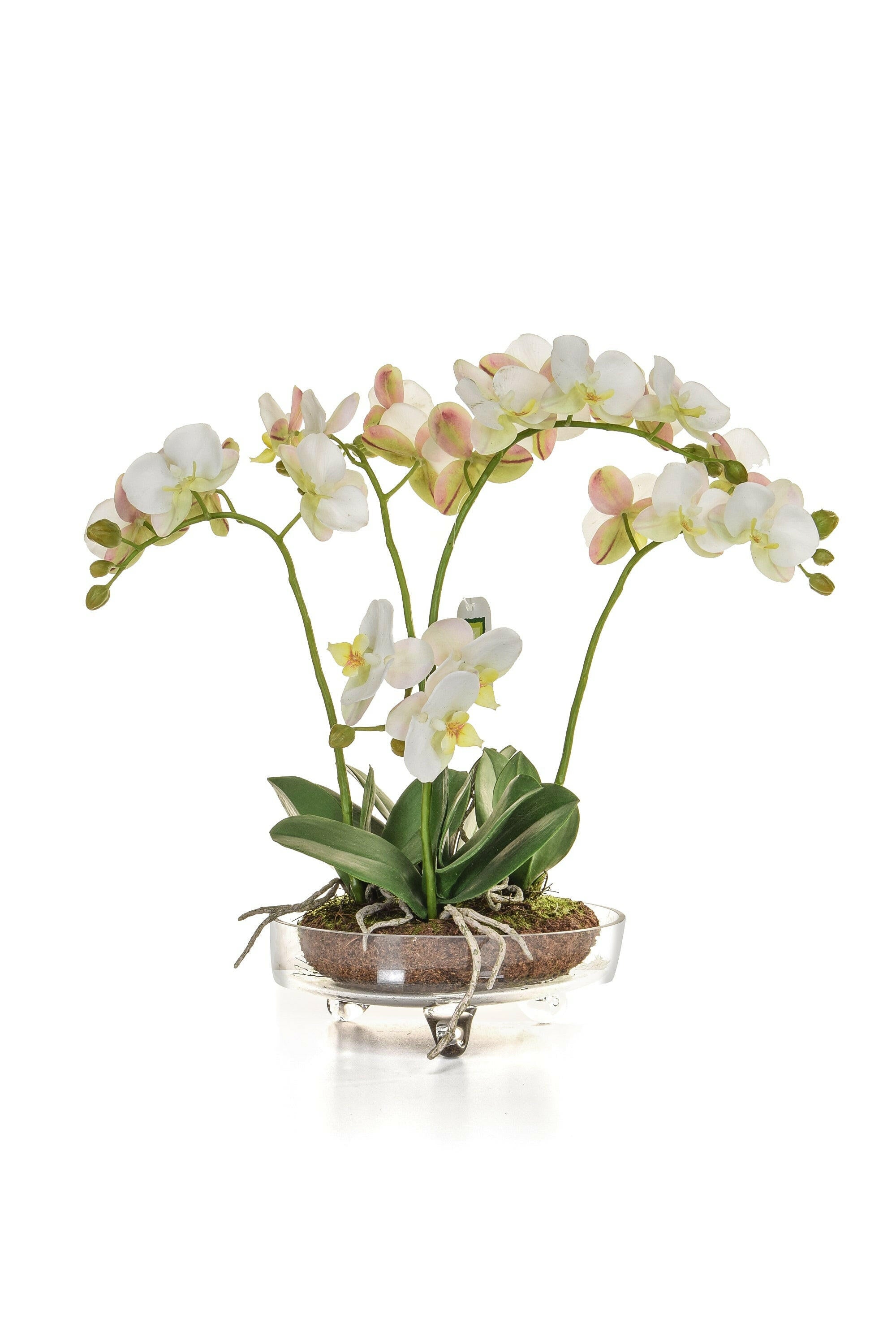 Artificial Silk Orchid potted in glass Vase 