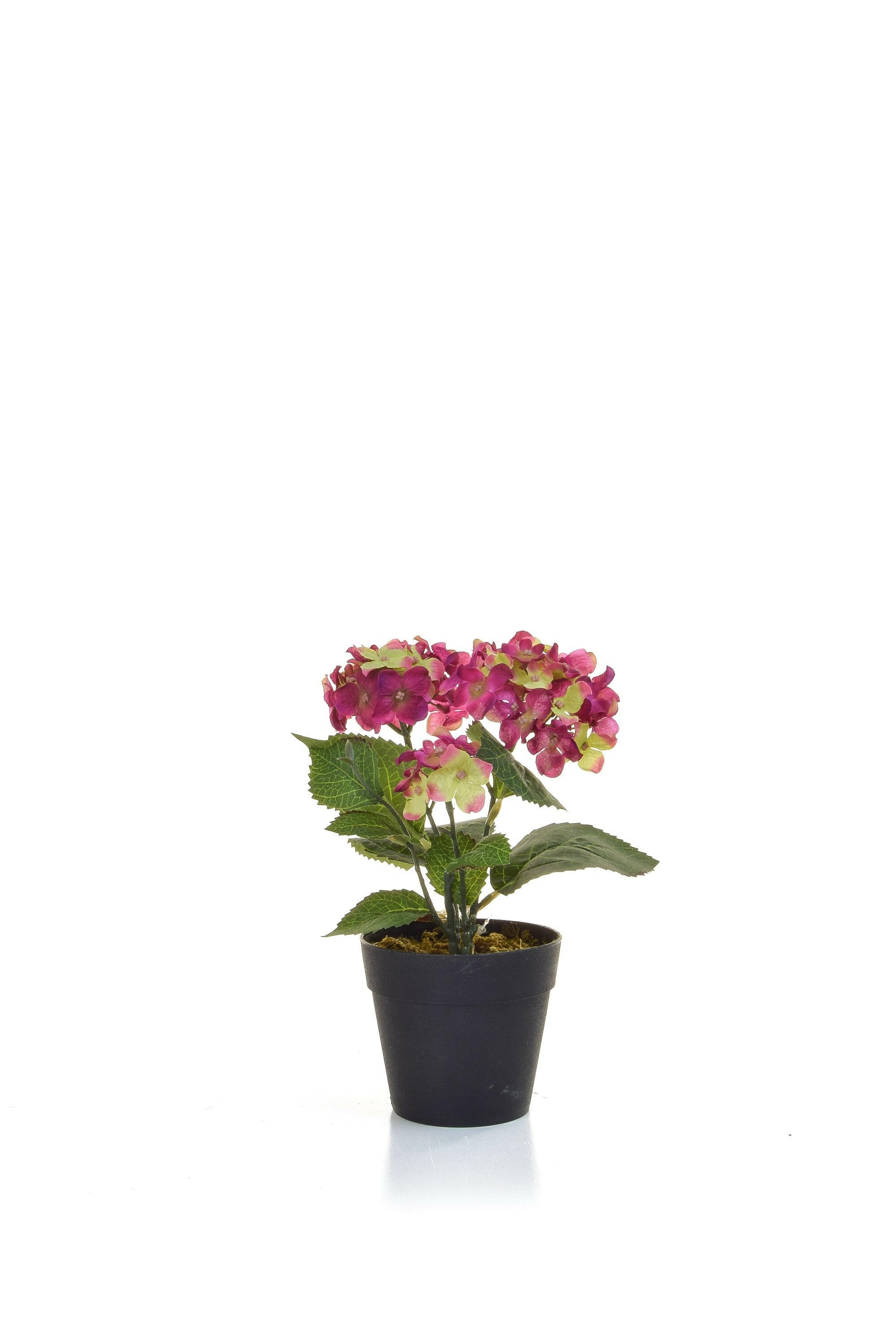Artificial Silk Hydrangea in Black Pot