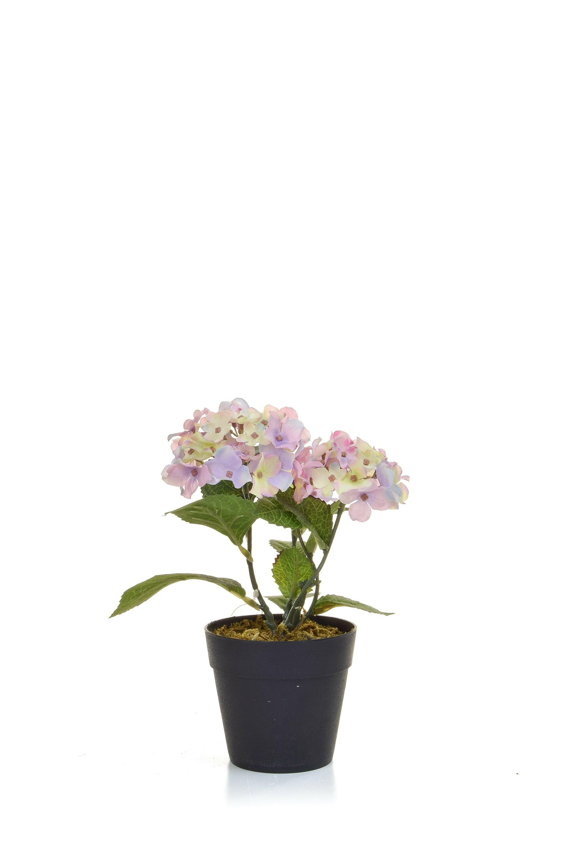 Artificial Silk Hydrangea in Black Pot