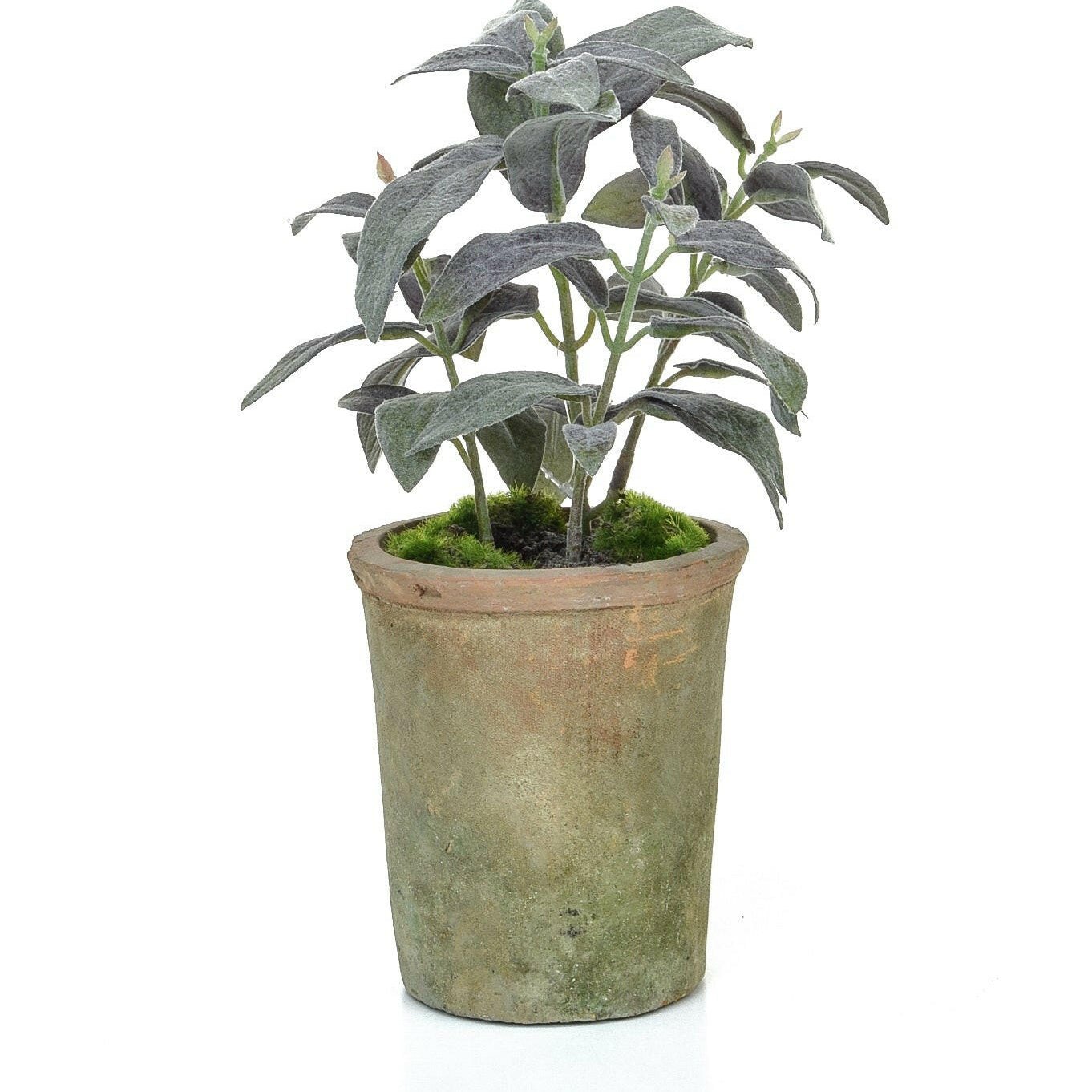 Artificial Silk Potted Herb - Sage