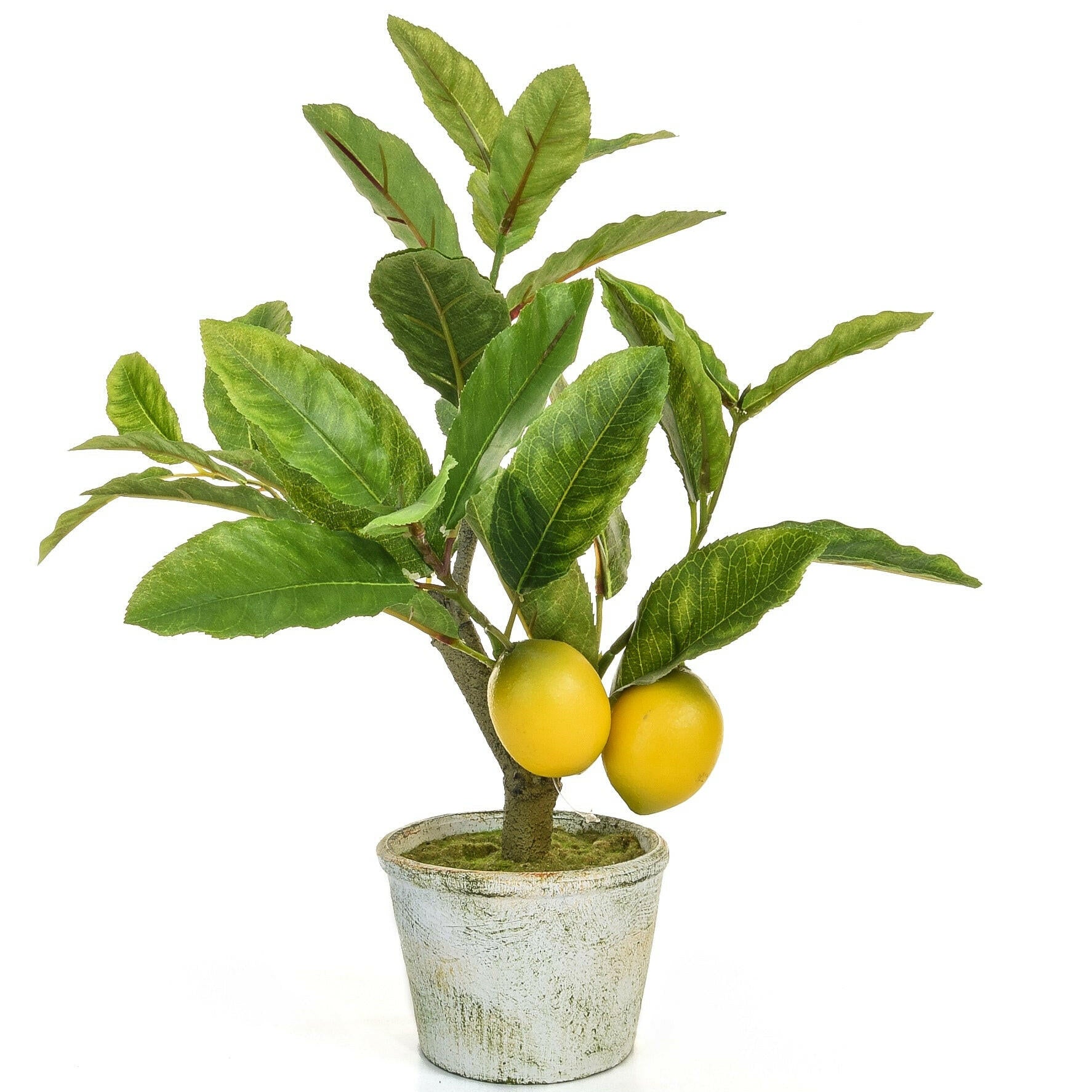 Artificial Silk Lemon Tree