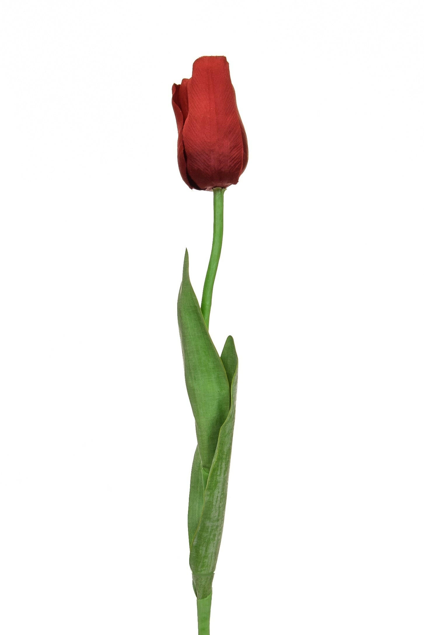 Artificial Silk Tulip Elisa Single Stem